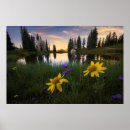 Recherche de wildflowers art Mountain