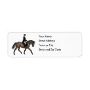 Recherche de cavalier de dressage Cheval et cavalier