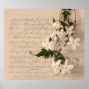 Recherche de jasmin posters Plante