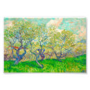 Recherche de prunier posters Vincent van gogh