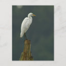 Recherche de auberge cartes postales Nature