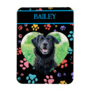 Recherche de empreinte de patte magnets Dog