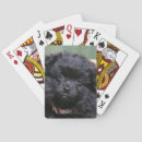 Recherche de spitz jeux de cartes Headshot