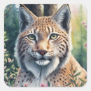Recherche de bobcat autocollants Félin