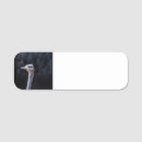 Recherche de autruche bureau fournitures Animal