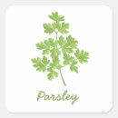 Recherche de persil autocollants Vert