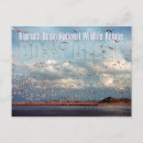 Recherche de bassine cartes postales Faune