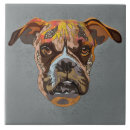 Recherche de boxer carreaux Amoureux des chiens