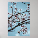 Recherche de petanque posters Fleurs