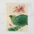 Recherche de lotus cartes postales Ukiyoe