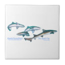 Recherche de requin carreaux Océan