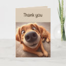 Recherche de amitié spéciale vœux cartes Animal