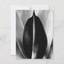 Recherche de suculent cartes postales Pour tous