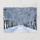 Recherche de givré cartes postales Arbre