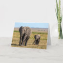 Recherche de le kenya vœux cartes Éléphant africain