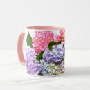 Recherche de hortensias tasses Rose