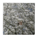 Recherche de blossom carreaux Arbre