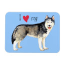 Recherche de traîneau magnets Chien de traîneau sibérien