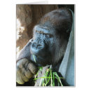 Recherche de ape vœux cartes Humour