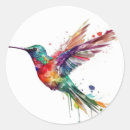 Recherche de dessin de colibri autocollants Pour tous