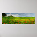 Recherche de toscane posters Nature