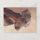 Recherche de pinscher dobermann cartes postales Canine
