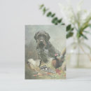 Recherche de animaux de durer cartes postales Allemand