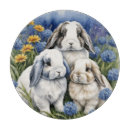 Recherche de lapin planches à découper Mignon