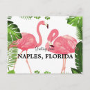Recherche de salutations de la floride cartes postales Tropical