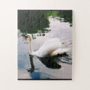 Recherche de cygne blanc puzzles Animal
