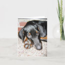 Recherche de dobermann vœux cartes Mignon