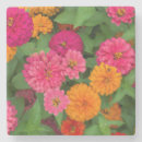 Recherche de assortiment dessous de verres Coloré