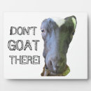 Recherche de chèvre plaques Animal