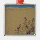 Recherche de buisson ornements Nature