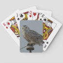 Recherche de hiboux jeux de cartes Harfang des neiges