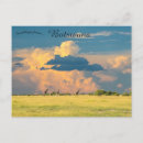 Recherche de le botswana cartes postales Faune