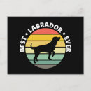 Recherche de chien de labrador cartes postales Dogs
