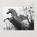 Recherche de pegasus cartes postales Noir
