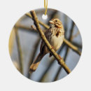 Recherche de moineaux ornements Nature