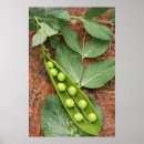 Recherche de pod posters Macro