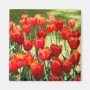 Recherche de paysage de tulipe magnets Conception