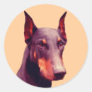 Recherche de dobermann noir autocollants Dobère