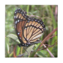 Recherche de butterfly carreaux Orange