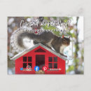 Recherche de écureuils drôles cartes postales Chien