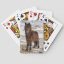 Recherche de islandais jeux de cartes Superstock