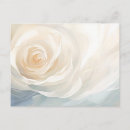 Recherche de roses blanches cartes postales Rose blanche