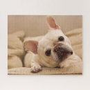 Recherche de frenchie puzzles Dog