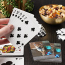 Recherche de shiba jeux de cartes Chien