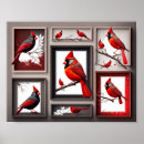 Recherche de cardinal rouge posters Nature