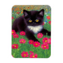 Recherche de tuxedo magnets Chat noir et blanc